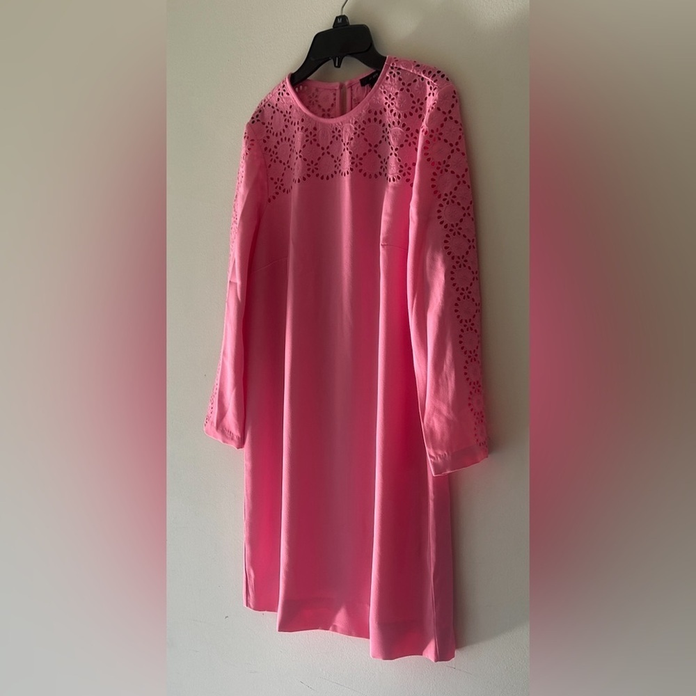 J . Crew Pink Long Sleeve Dress with Lace Detail - Picture 4 of 15